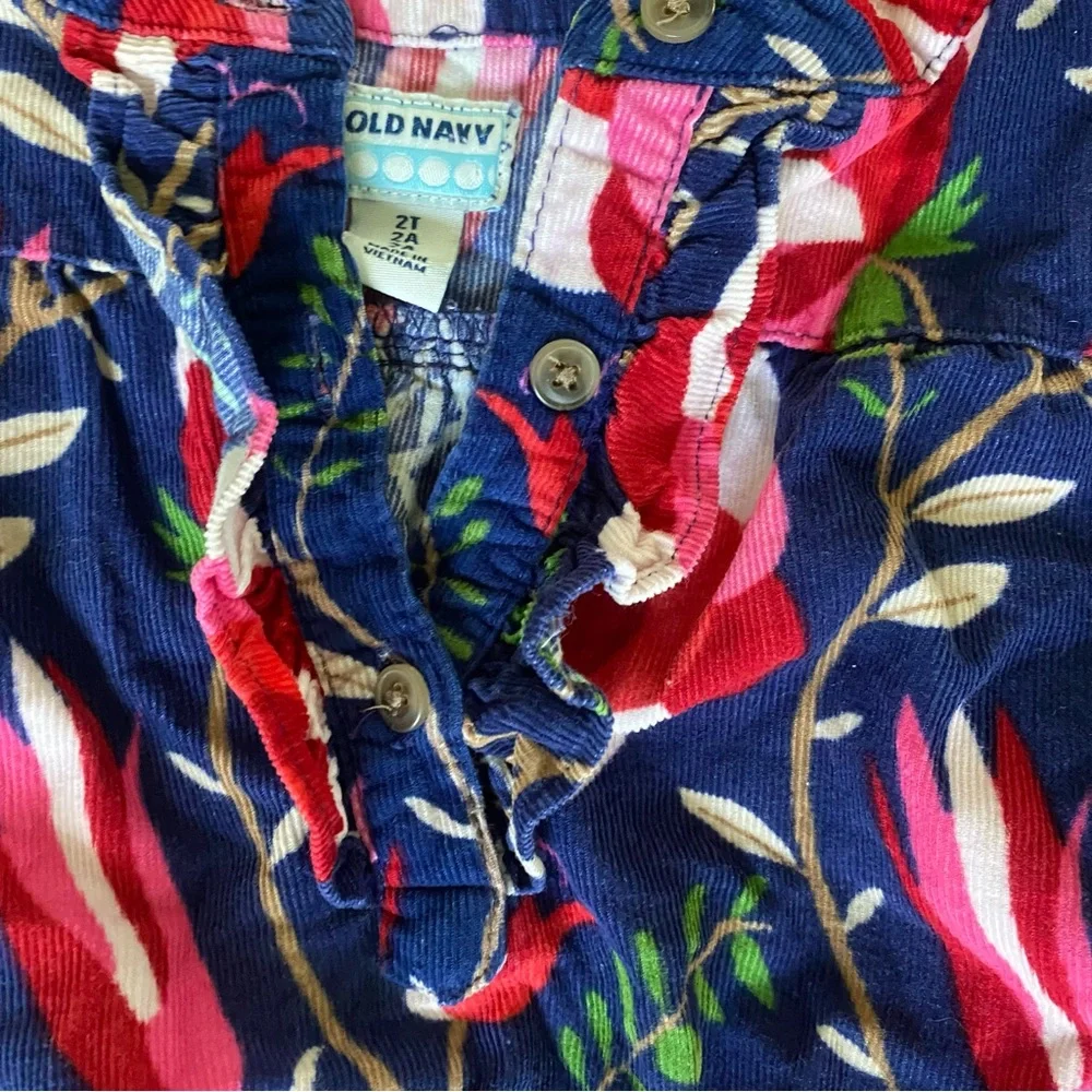 Kids Old Navy Blue and Red Floral Dress size 2 T